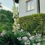 W Korniku - Blisko Poznania *