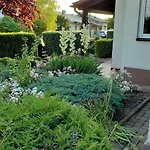 W Korniku - Blisko Poznania Kornik