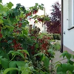 W Korniku - Blisko Poznania Villa