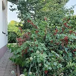 W Korniku - Blisko Poznania Villa Kornik