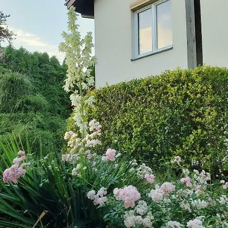 W Korniku - Blisko Poznania *