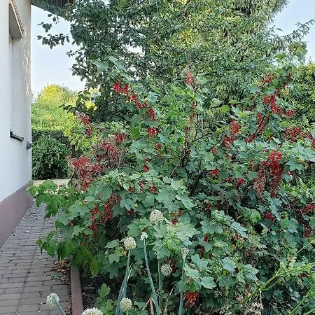 W Korniku - Blisko Poznania Villa Kórnik