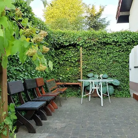 W Korniku - Blisko Poznania *