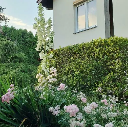 W Korniku - Blisko Poznania *