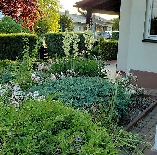 W Korniku - Blisko Poznania Kornik