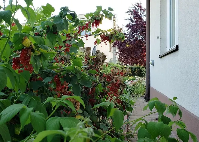 W Korniku - Blisko Poznania Villa