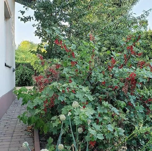 W Korniku - Blisko Poznania Villa Kórnik