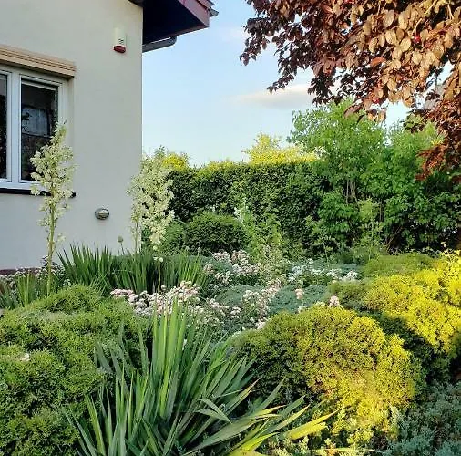 W Korniku - Blisko Poznania Kórnik